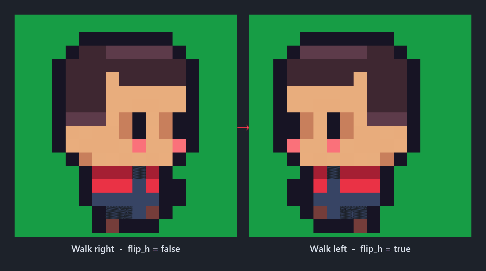 The same walk frame with flip_h false and true